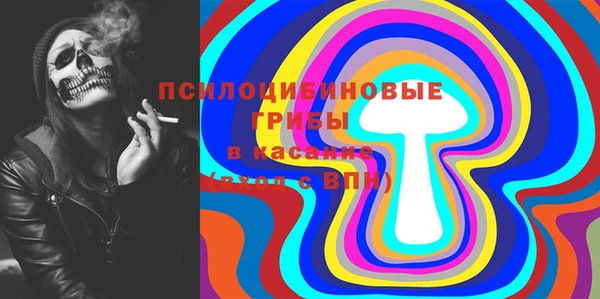 дурь Белокуриха