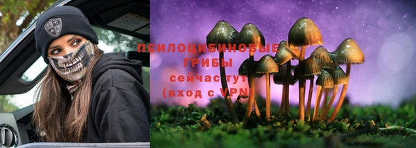 гидра Беломорск